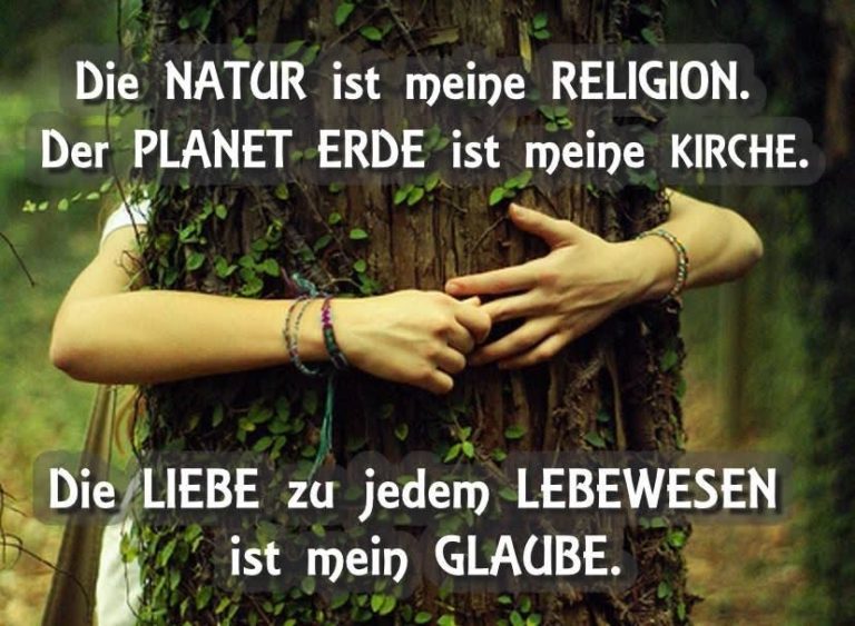 Der DRUVIDES Hain - Unser Glaube