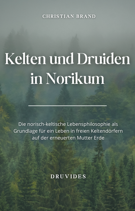 Kelten und Druiden in Norikum - Buch (ePUB)