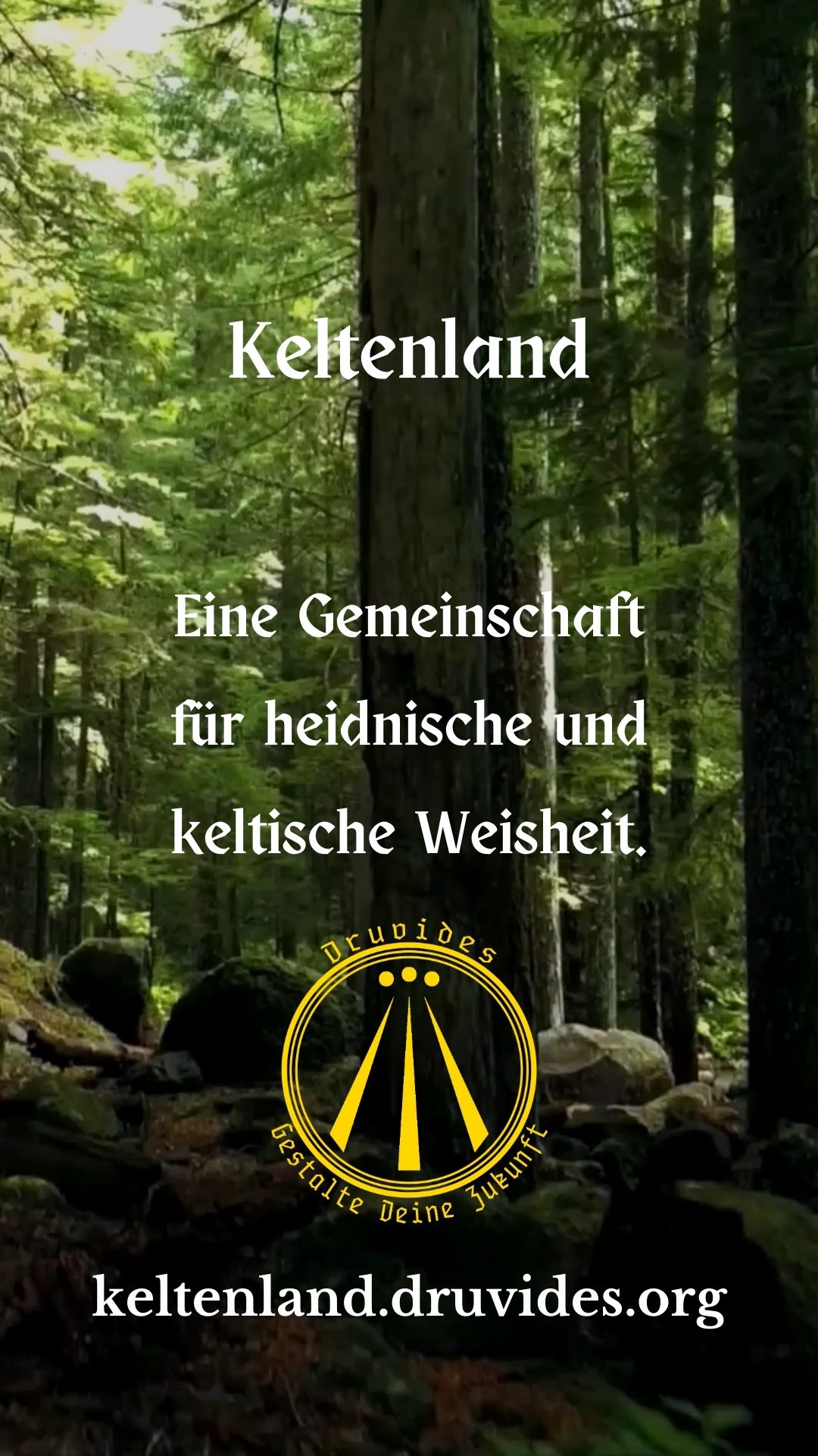 Buchreihe Keltische Weisheit heute